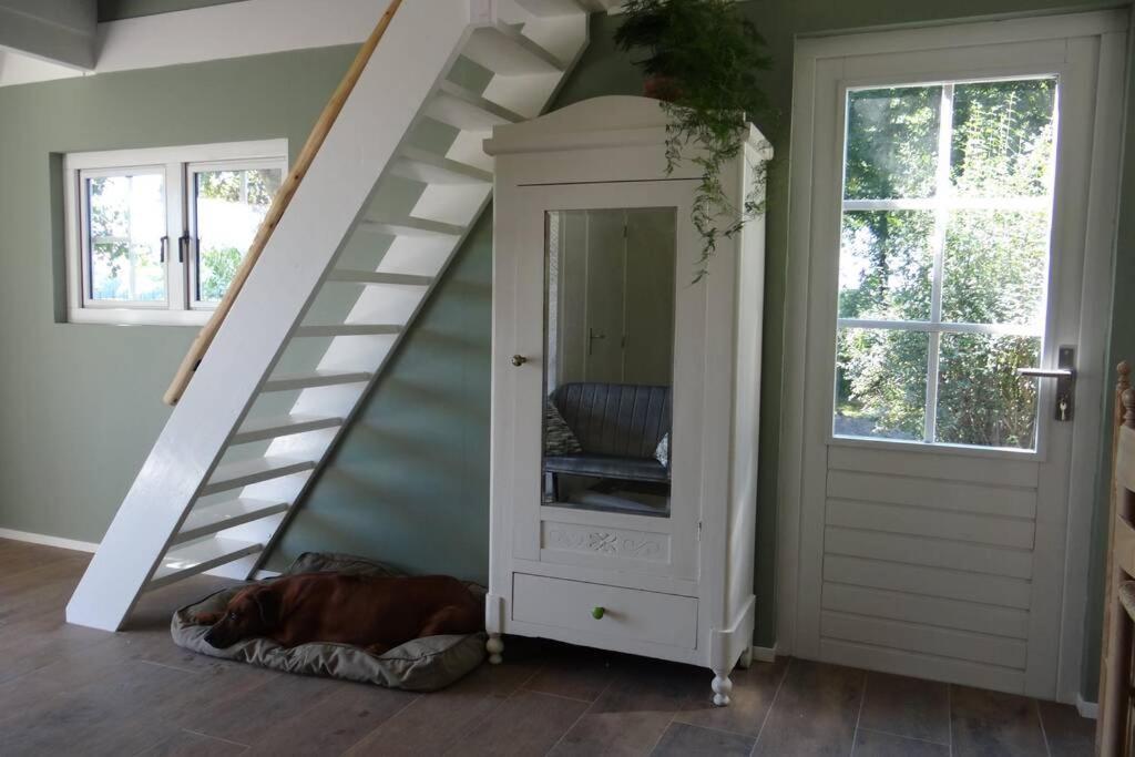 The Green Cottage Ruinen Екстер'єр фото