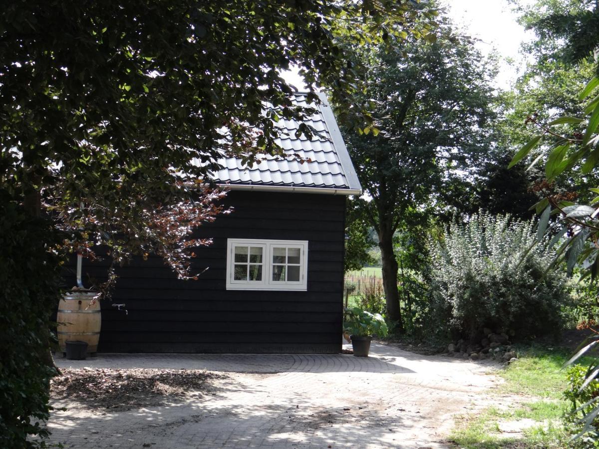 The Green Cottage Ruinen Екстер'єр фото